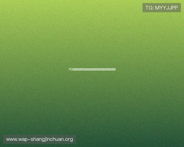 PG娱乐在线游戏技术创新不断，打造沉浸式娱乐体验引领行业发展
